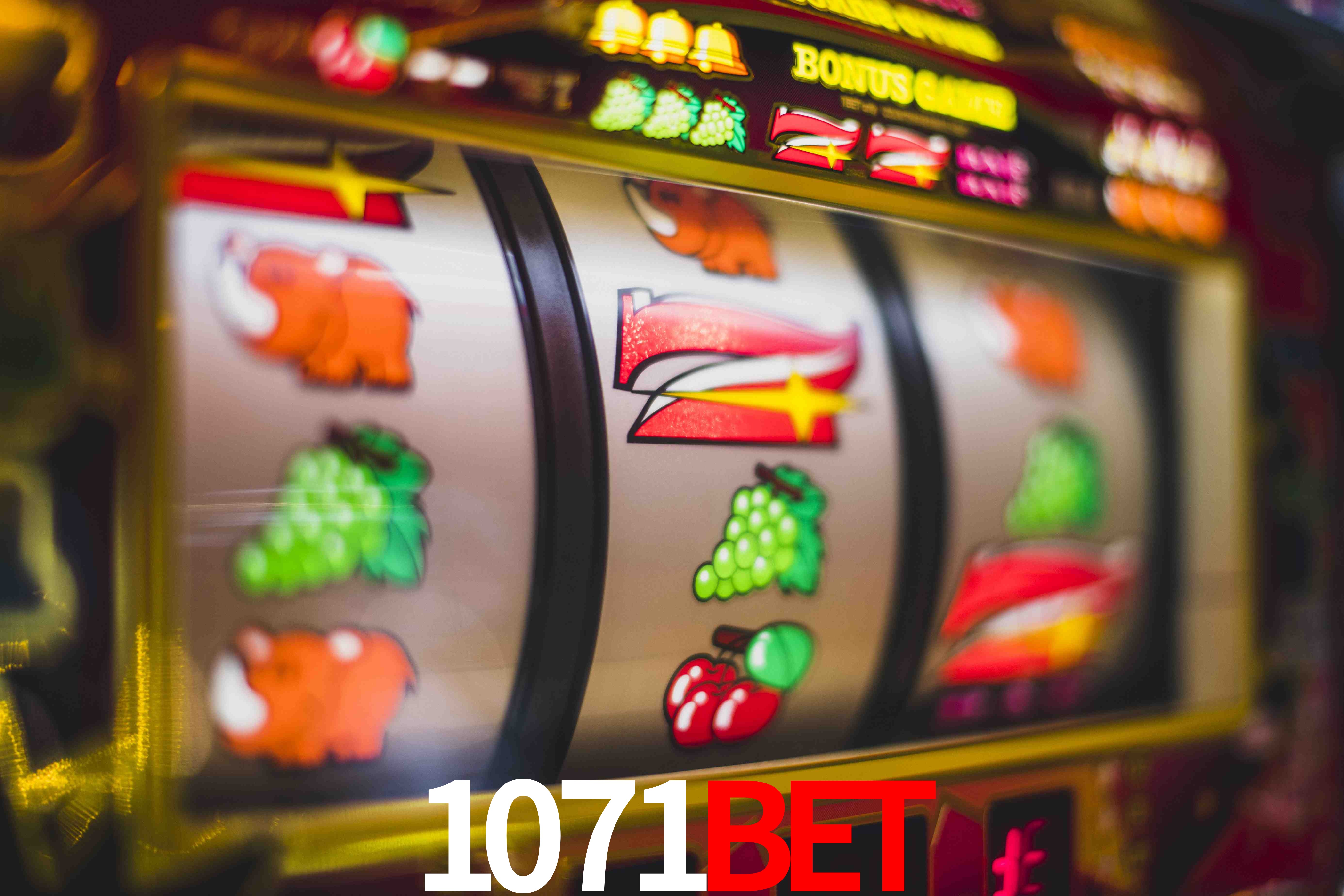 Programa VIP 1071bet