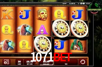 Descubra o Mundo do Cassino Online com 1071bet